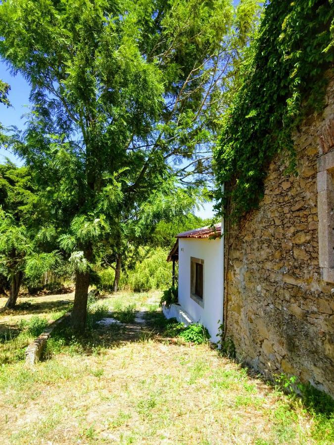 Quinta Da Galeana Dreaming Bed and Breakfast Lourinhã Buitenkant foto