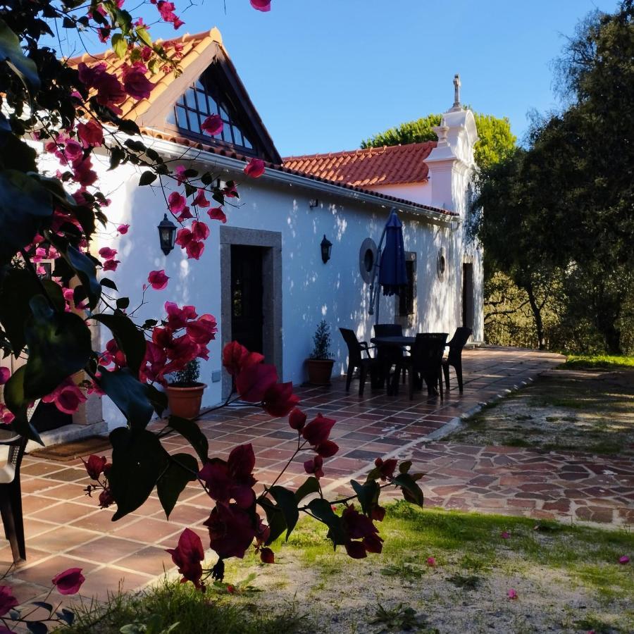 Quinta Da Galeana Dreaming Bed and Breakfast Lourinhã Buitenkant foto